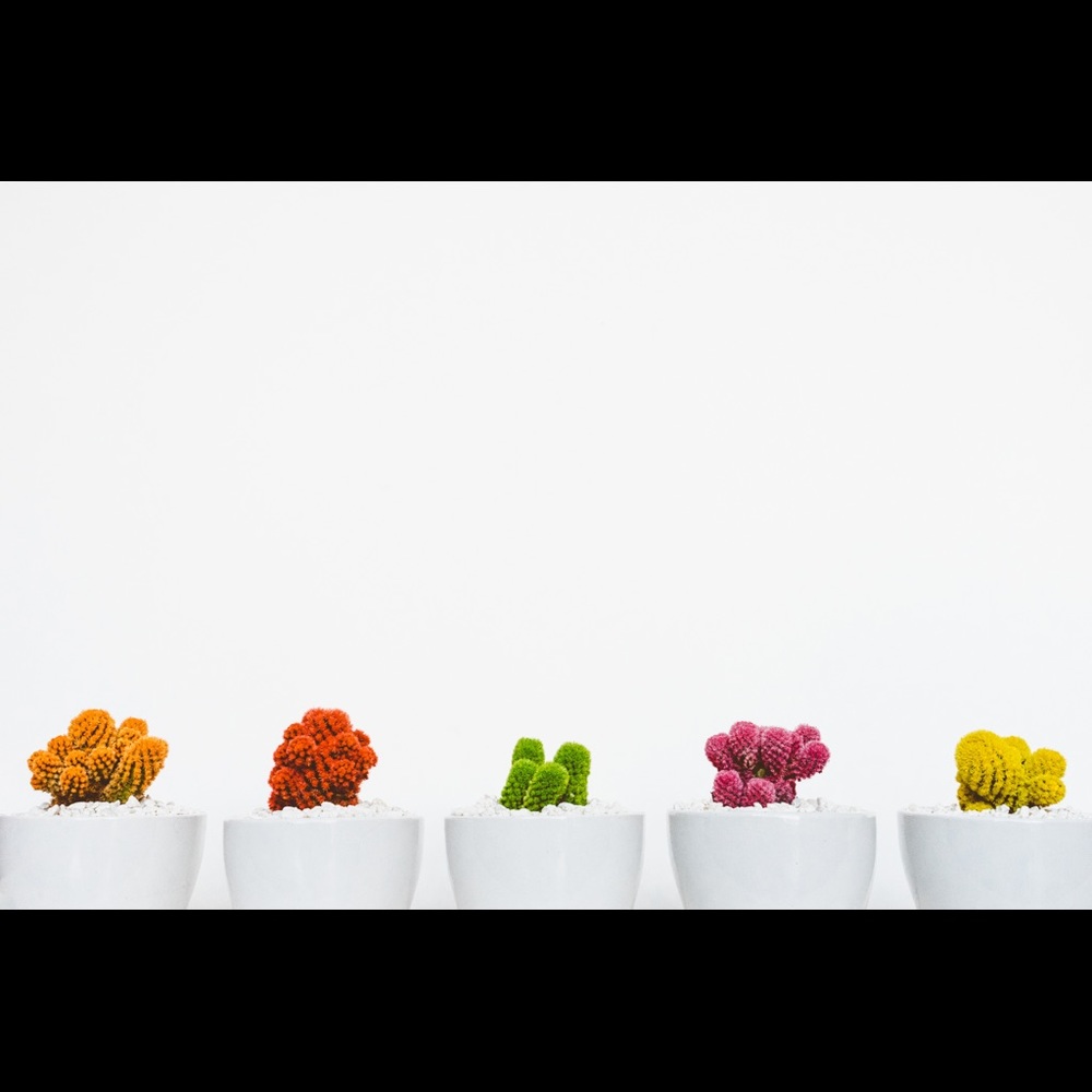 Bundle for Angela  (iceq13)